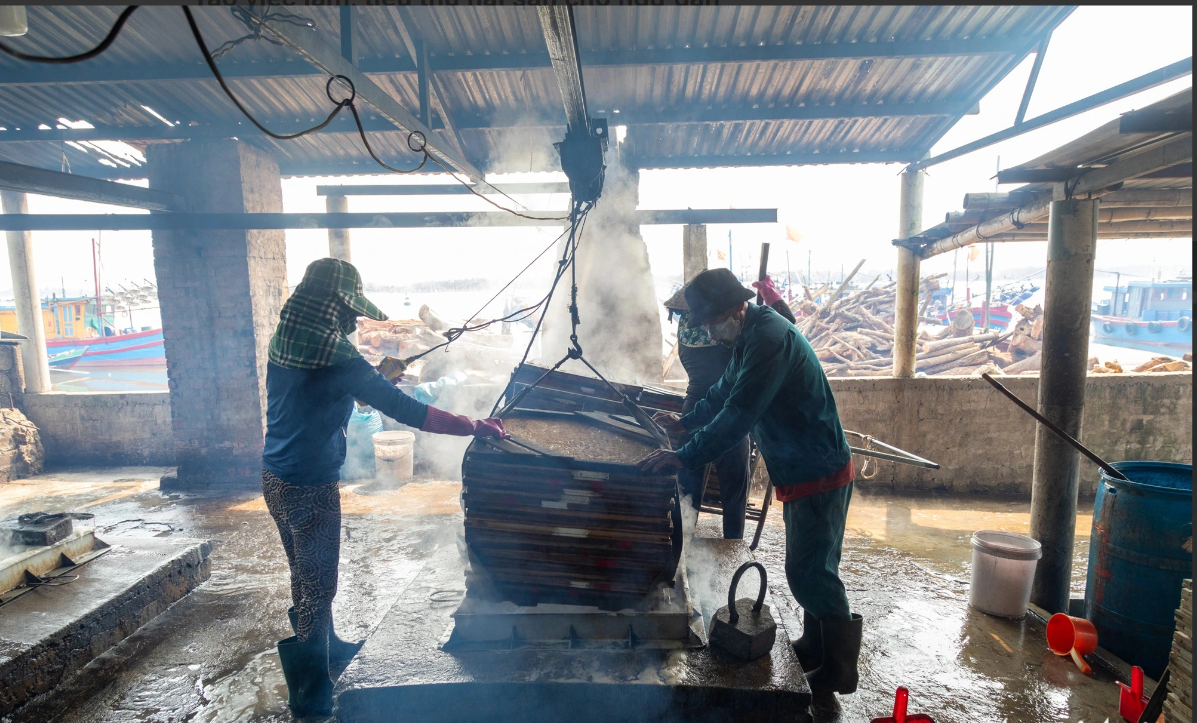 Cá hấp phơi khô , nghề đặc trưng của Ngư dân Gio Việt